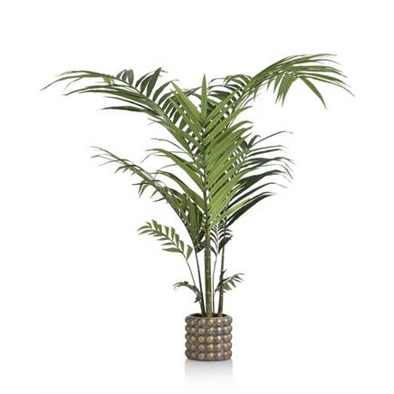 Coco Maison Kentia Palm plant H210cm